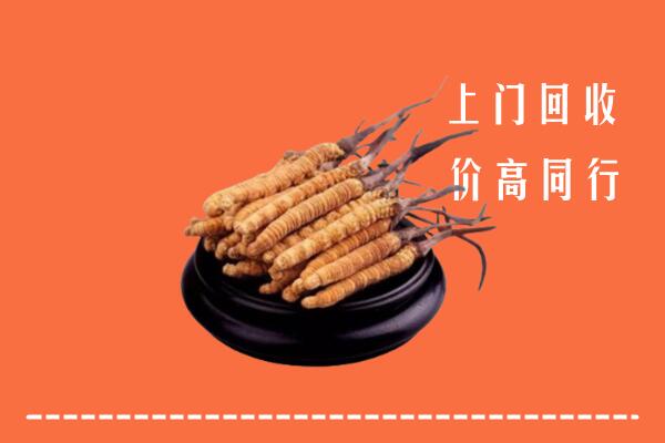 高价求购：喀什市回收散虫草