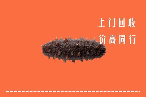 高价求购：喀什市回收海参