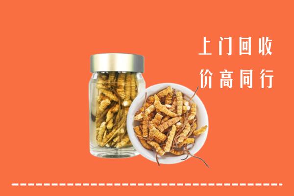 喀什市回收冬虫夏草