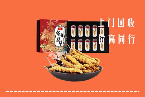 喀什市回收虫草